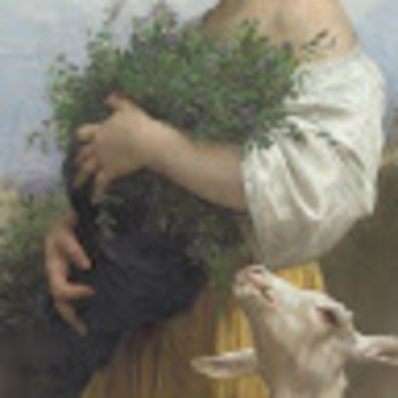 Meet your Posher, Emma - Picture 1 of 1